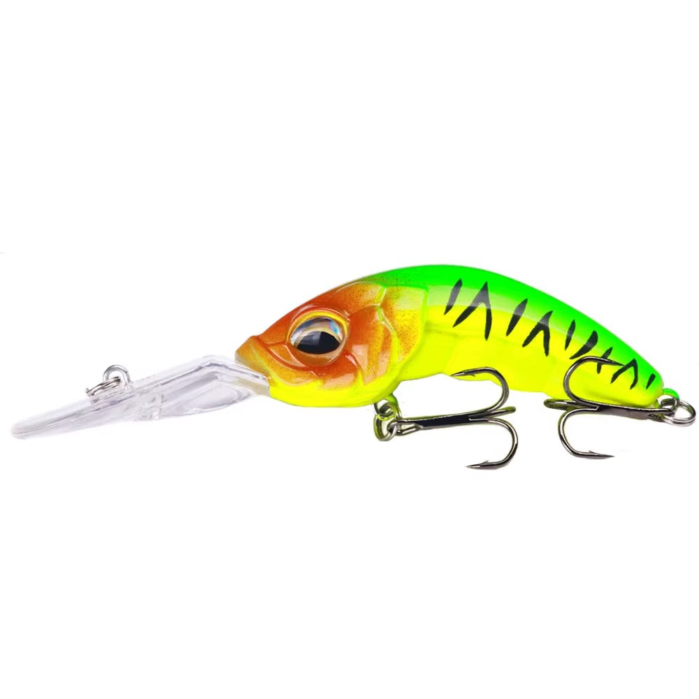 Variedad de Señuelos de Pesca – Superficie, Media Agua y Profundidad